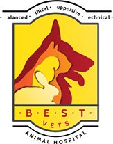 B.E.S.T. VETS Logo