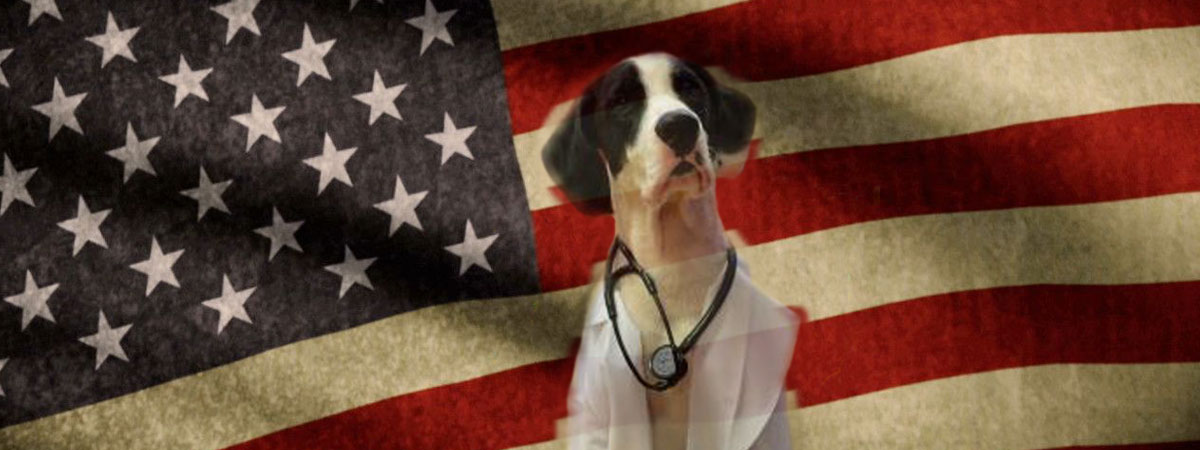 Dog wearing a doctor's coat in fromt of an American flag