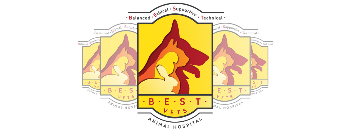 B.E.S.T. VETS Animal Hospital logo